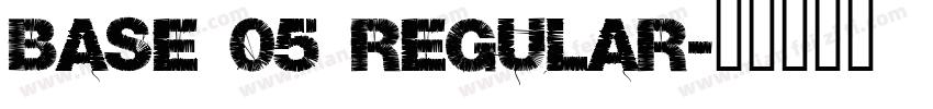 Base 05 Regular字体转换